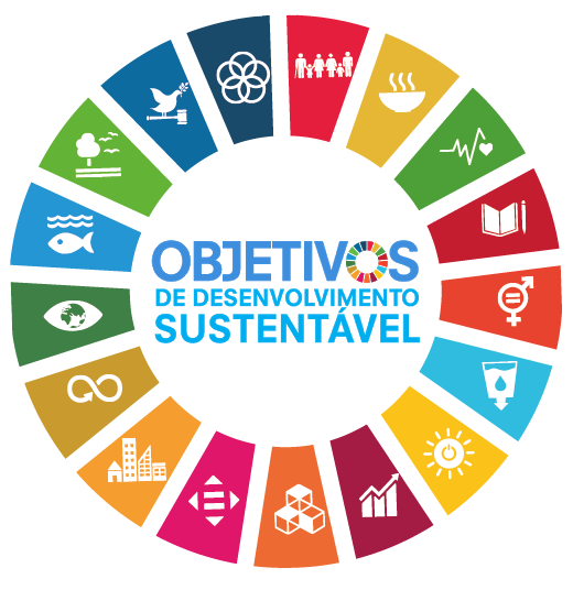 Selo ODS 30 - Agenda ONU